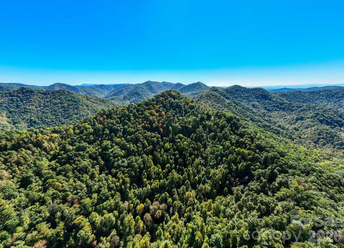 TBD Big Laurel Road, Marshall, NC 28753 - #1