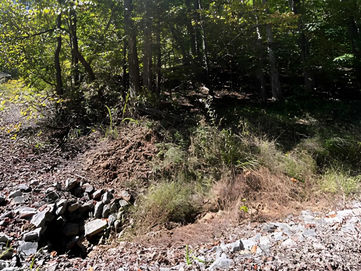 000 Park Trail, Love Valley, NC 28625 - #1