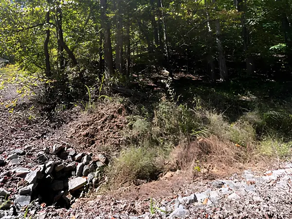 000 Park Trail, Love Valley, NC 28625