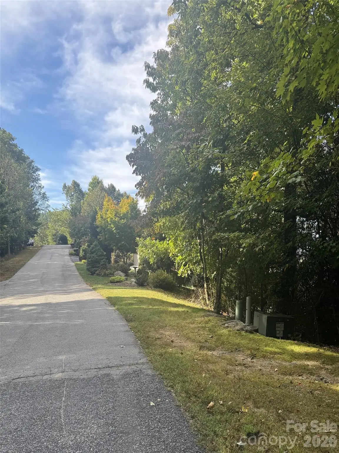 200 Ladys Fern Trail, Laurel Park, NC 28739 - #1
