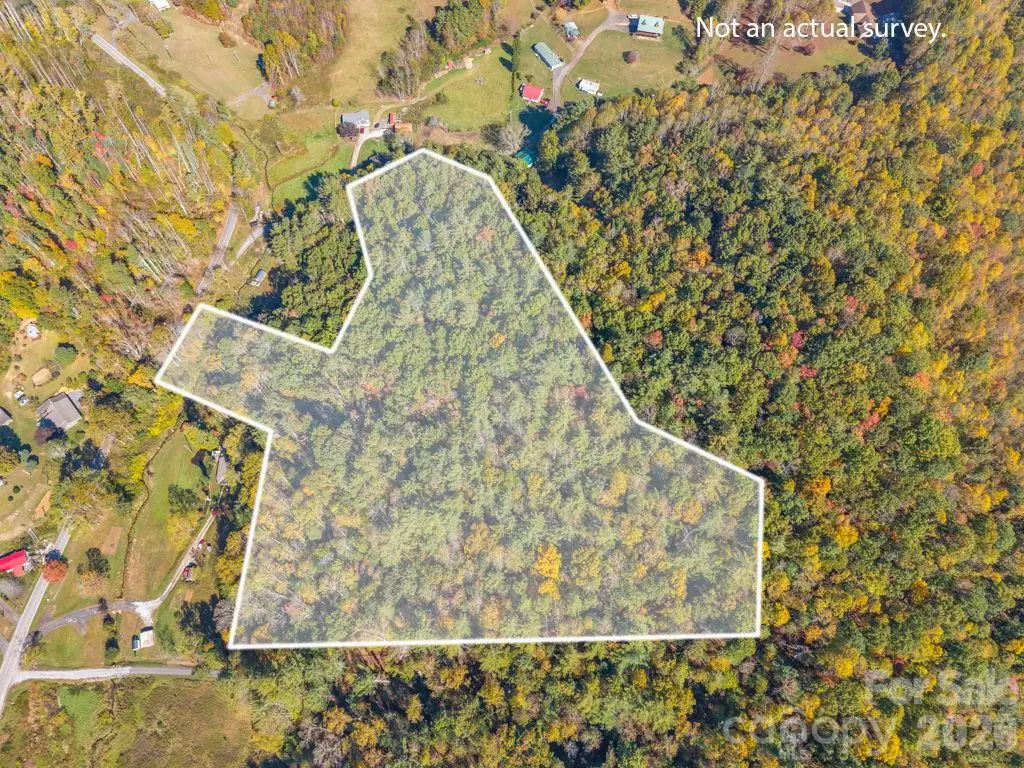 000 Hamburg Road, Bakersville, NC 28705 - #1