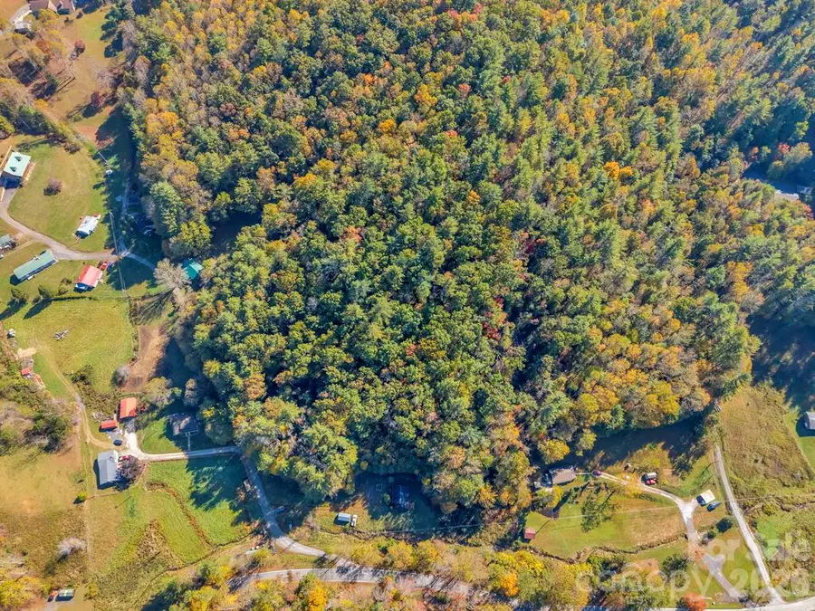 000 Hamburg Road, Bakersville, NC 28705 - #2