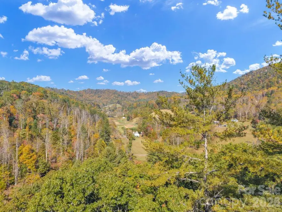 000 Hamburg Road, Bakersville, NC 28705 - #3