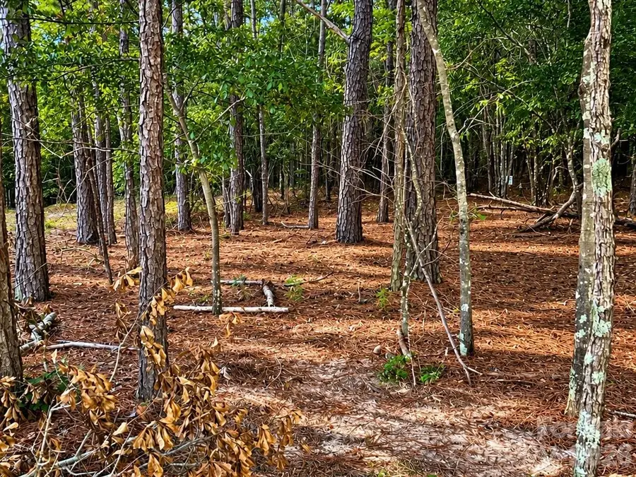 TBD/Land LOT B SW Beaker Road, Heath Springs, SC 29058 - #3