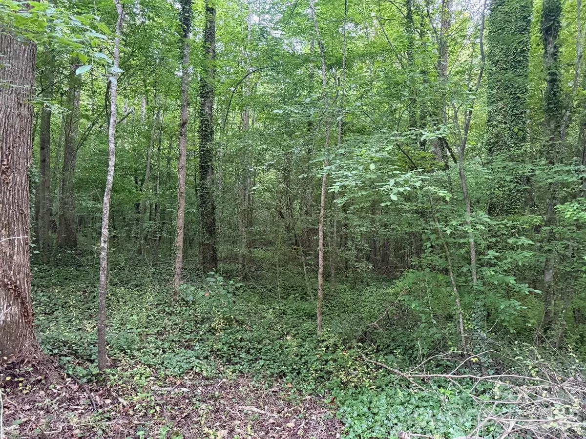 00 Winterhaven Road Road #4, Taylorsville, NC 28681 - #1