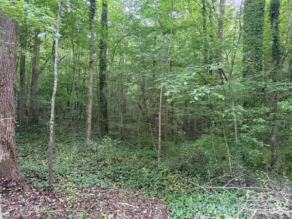 00 Winterhaven Road Road #4, Taylorsville, NC 28681