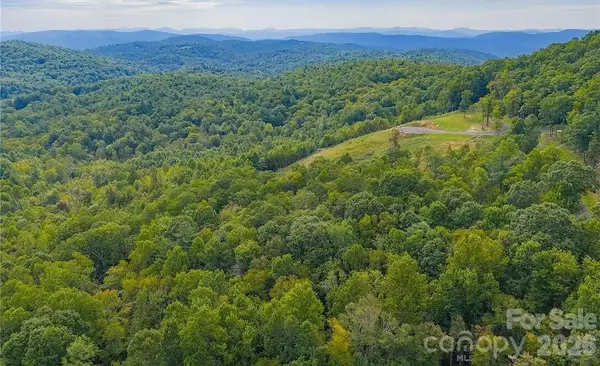 49 Wildcat Wilderness Parkway, Deep Gap, NC 28618