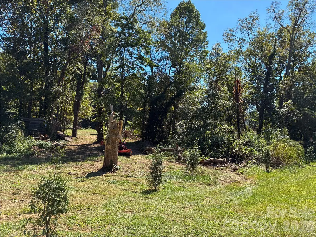 233 Oakview Road, Asheville, NC 28806 - #1