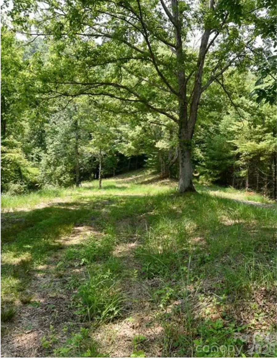 Lot 2, 4, 9-13, 15, 20-22 The Vines Boulevard, Marshall, NC 28753 - #2