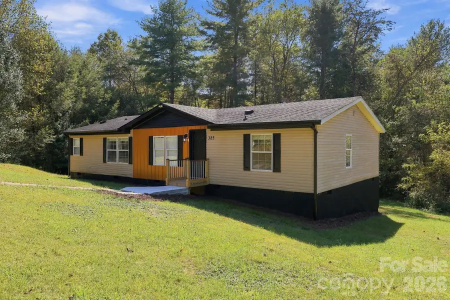 323 Dogwood Road, Candler, NC 28715 - #2
