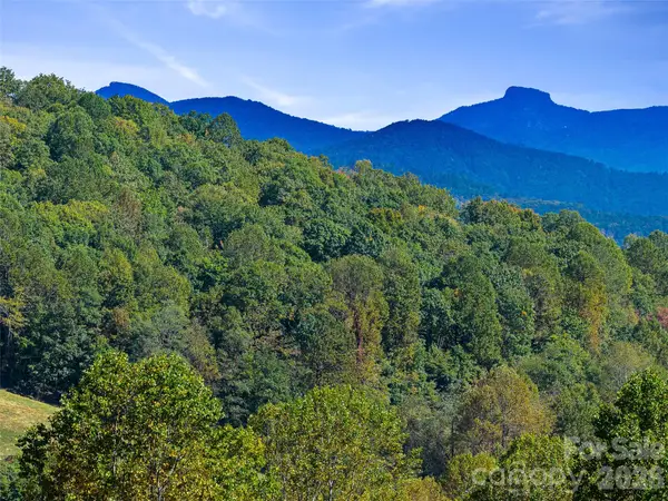 TBD Chestnut Grove Road, Spruce Pine, NC 28777