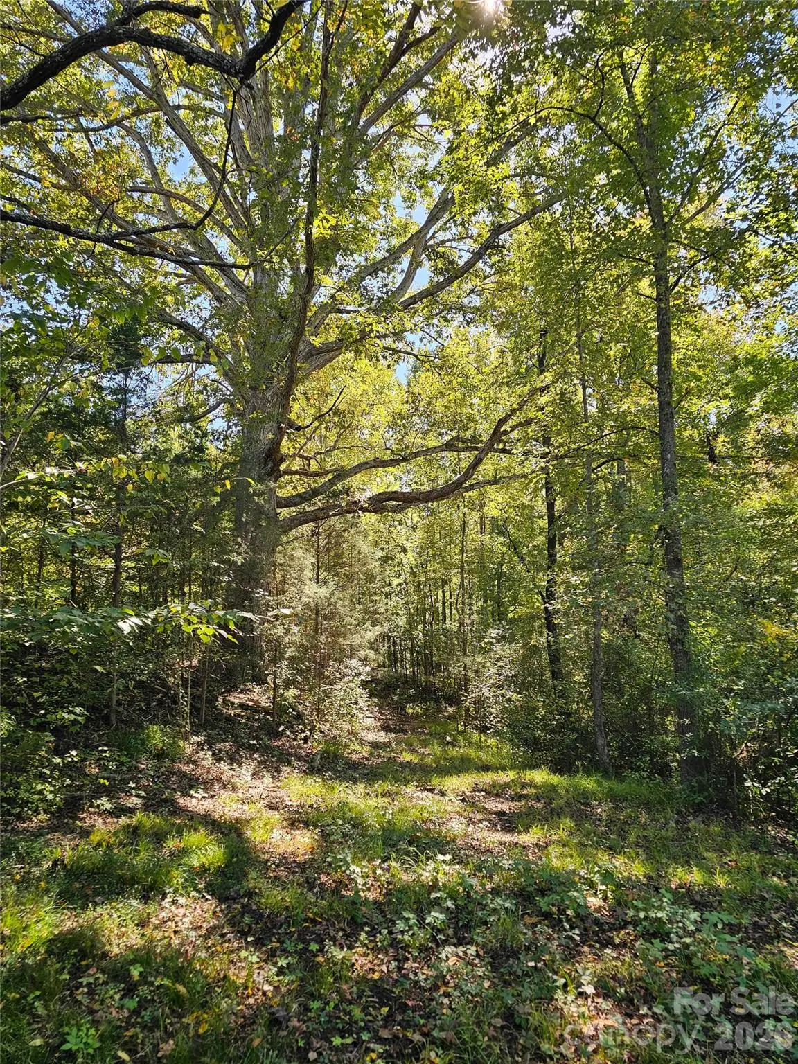 0 Cloud Top Lane, Mooresville, NC 28115 - #1