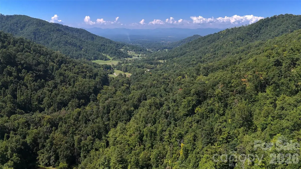 300  Acres Upper Flat Creek Road, Weaverville, NC 28787 - #1