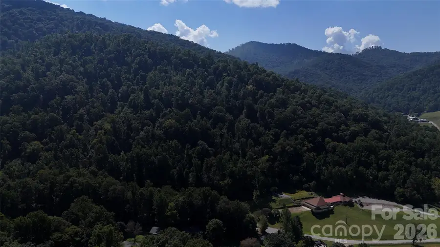 101  Acres Timbersong Drive, Weaverville, NC 28787 - #2