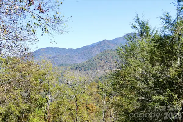 Lot 509 Multiflora Way #509, Waynesville, NC 28785