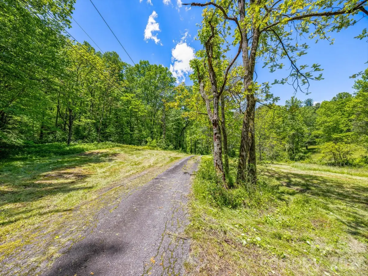 336A S Bobs Creek Road, Zirconia, NC 28790 - #1