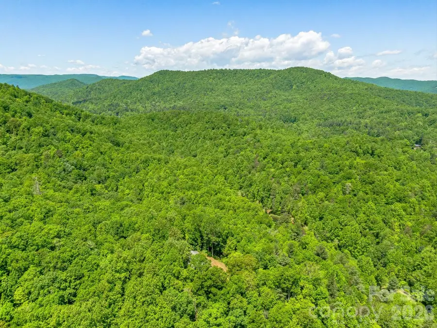 336A S Bobs Creek Road, Zirconia, NC 28790 - #2