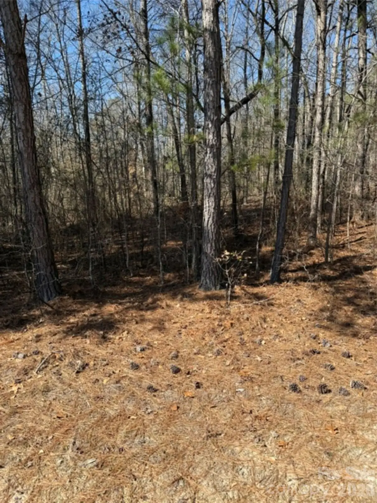 00 Vintage Road, Lilesville, NC 28091 - #1