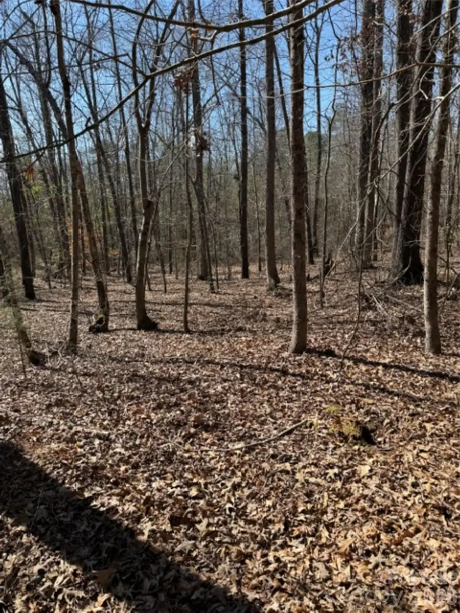 00 Vintage Road, Lilesville, NC 28091 - #2
