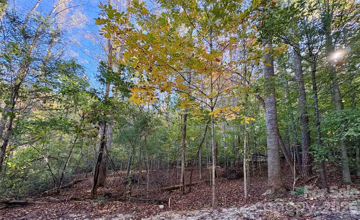 00 Forsythia Hedge Drive, Fletcher, NC 28732 - #1