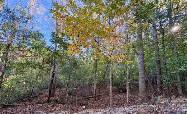 00 Forsythia Hedge Drive, Fletcher, NC 28732