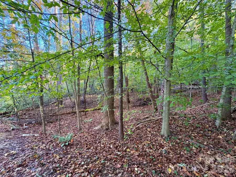 00 Forsythia Hedge Drive, Fletcher, NC 28732 - #3