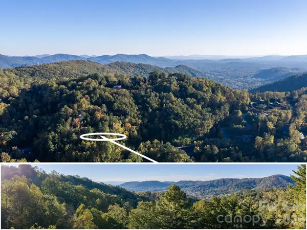 55 Bartrams Walk Drive, Asheville, NC 28804