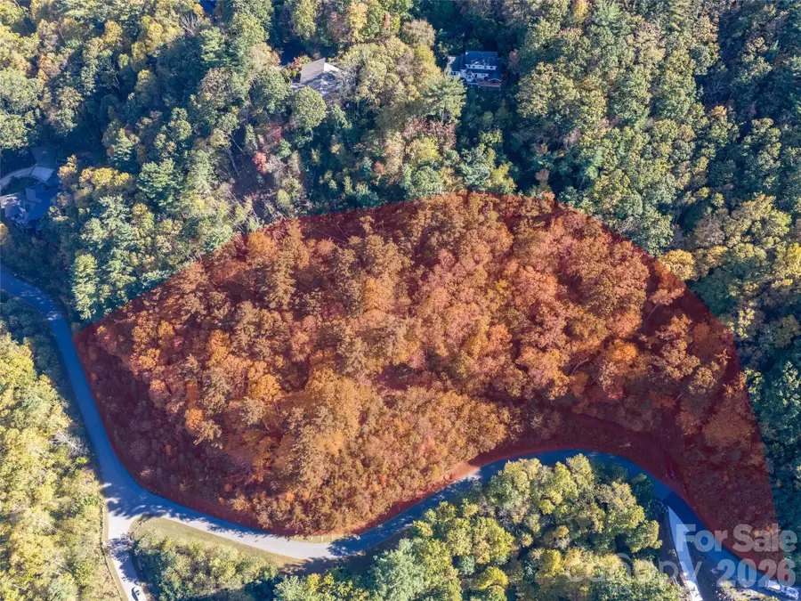55 Bartrams Walk Drive, Asheville, NC 28804 - #2