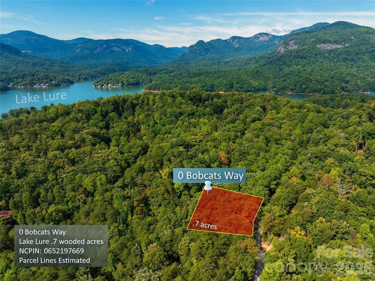0 Bobcat Way #279, Lake Lure, NC 28746 - #1
