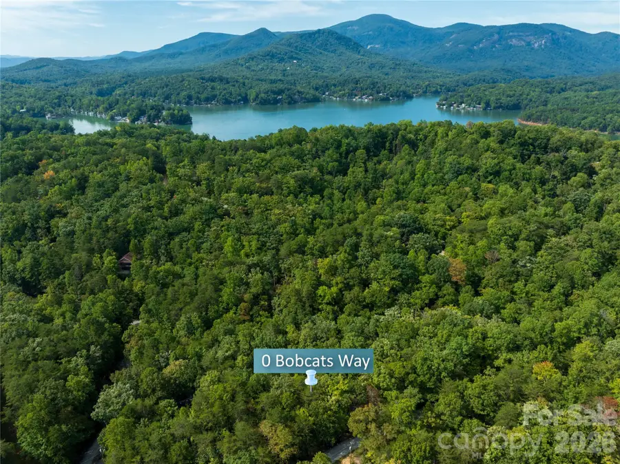 0 Bobcat Way #279, Lake Lure, NC 28746 - #2