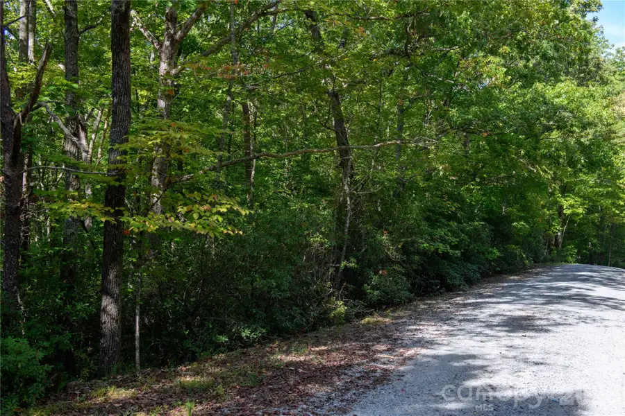 0 Bobcat Way #279, Lake Lure, NC 28746 - #3