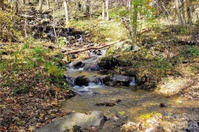 1930 Ball Branch Road, Boone, NC 28607 - #3