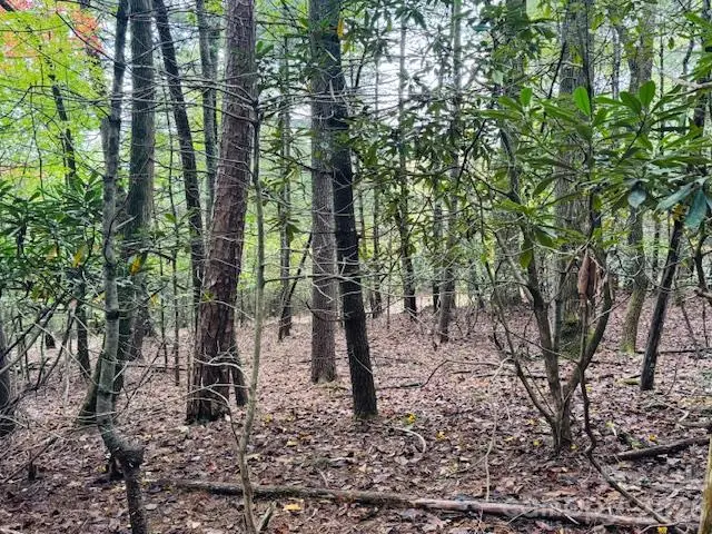 9999 Old Little Mountain Road #Tract 5-A, Pisgah Forest, NC 28768 - #1