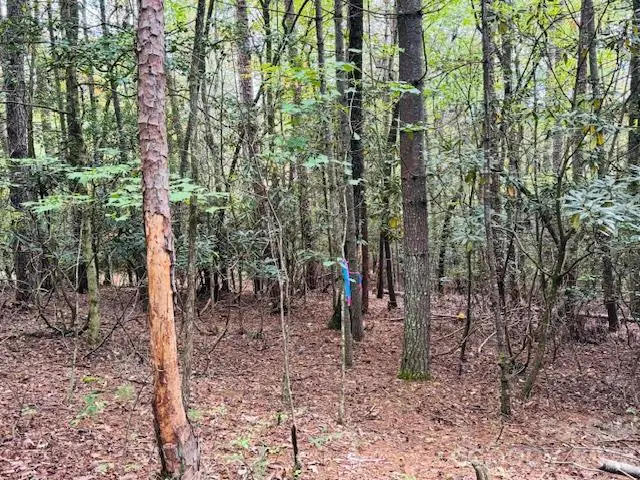9999 Old Little Mountain Road #Tract 5-A, Pisgah Forest, NC 28768 - #3