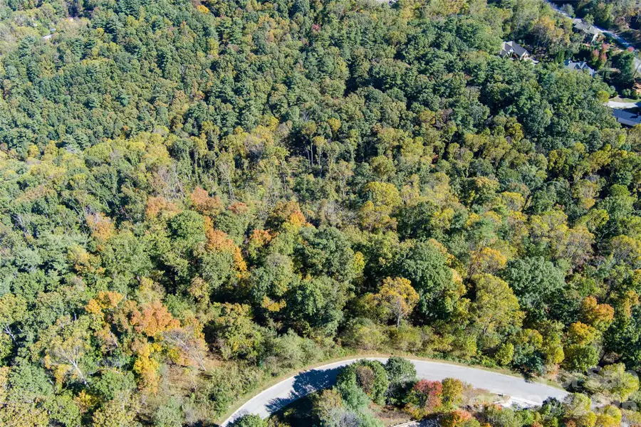 130 Summit Tower Circle, Asheville, NC 28804 - #2