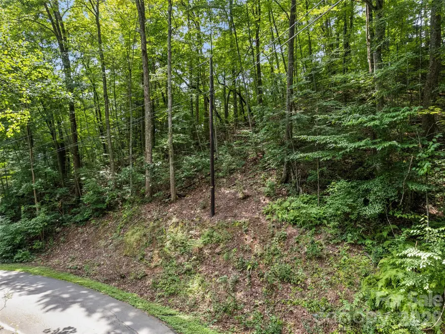 #16 Sherman Way, Waynesville, NC 28786 - #2