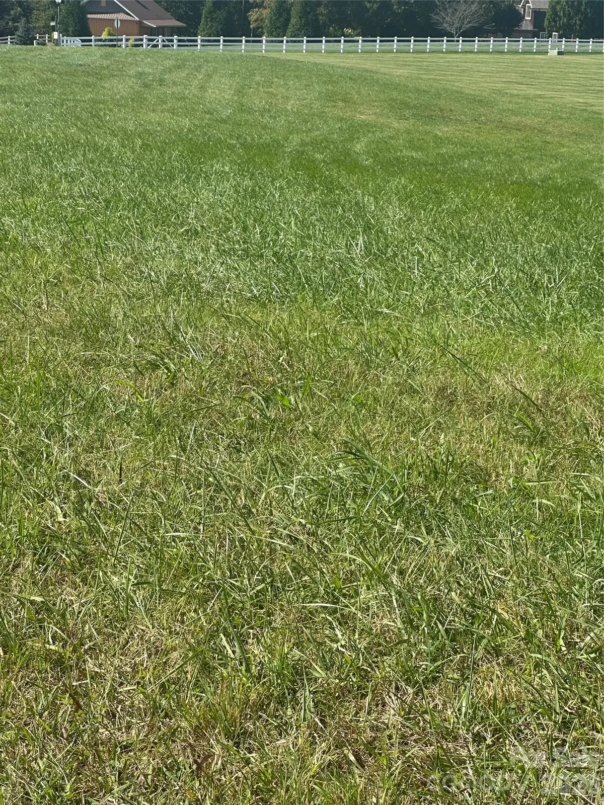 Lot 301 Canterbury Drive, North Wilkesboro, NC 28659 - #1