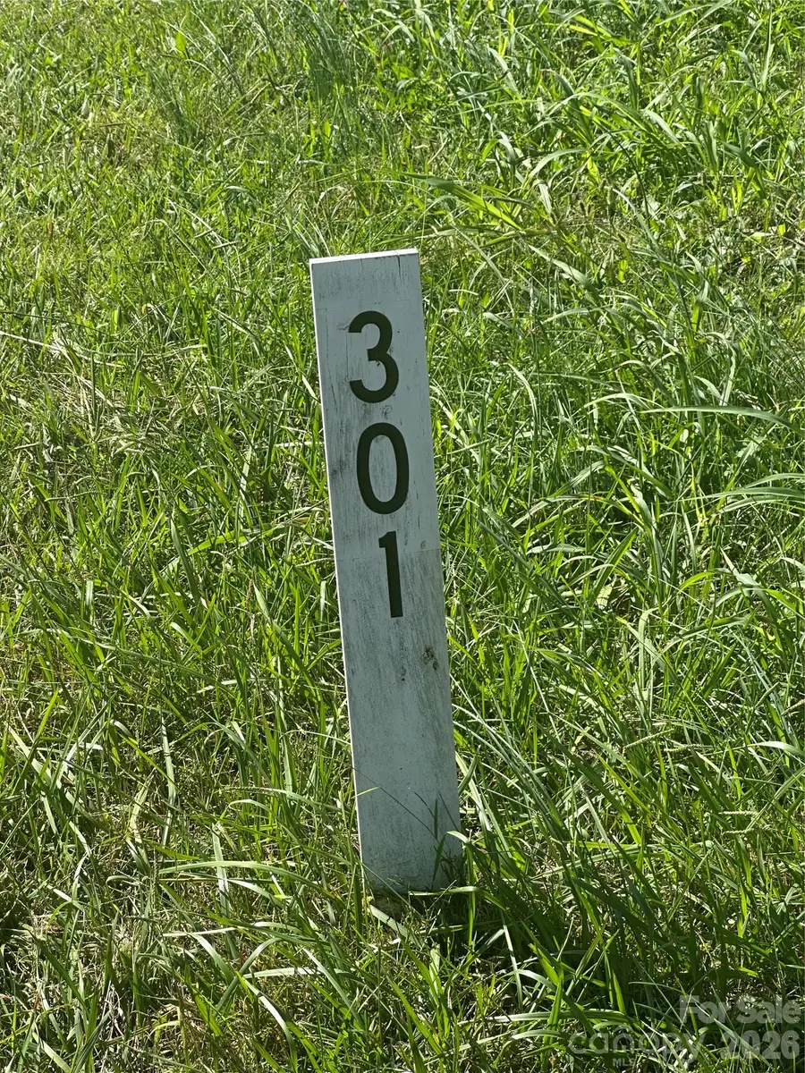 Lot 301 Canterbury Drive, North Wilkesboro, NC 28659 - #2
