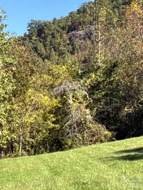 447 Hog Rock Road, Hendersonville, NC 28792 - #3