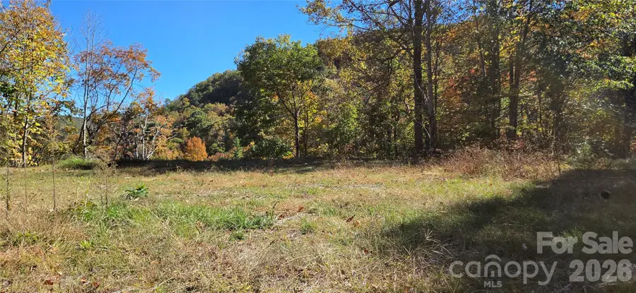 23 Craig Circle, Fairview, NC 28730 - #2