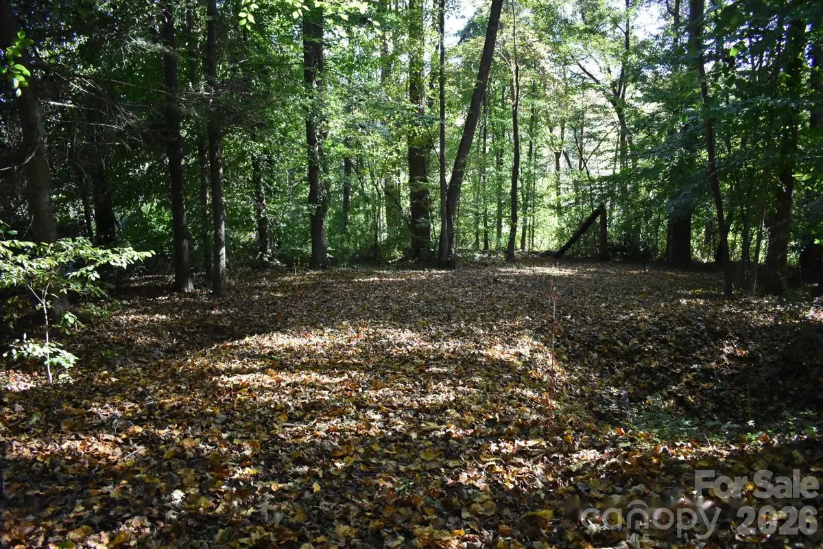 0 General Griffith Circle #29, Rutherfordton, NC 28139 - #1