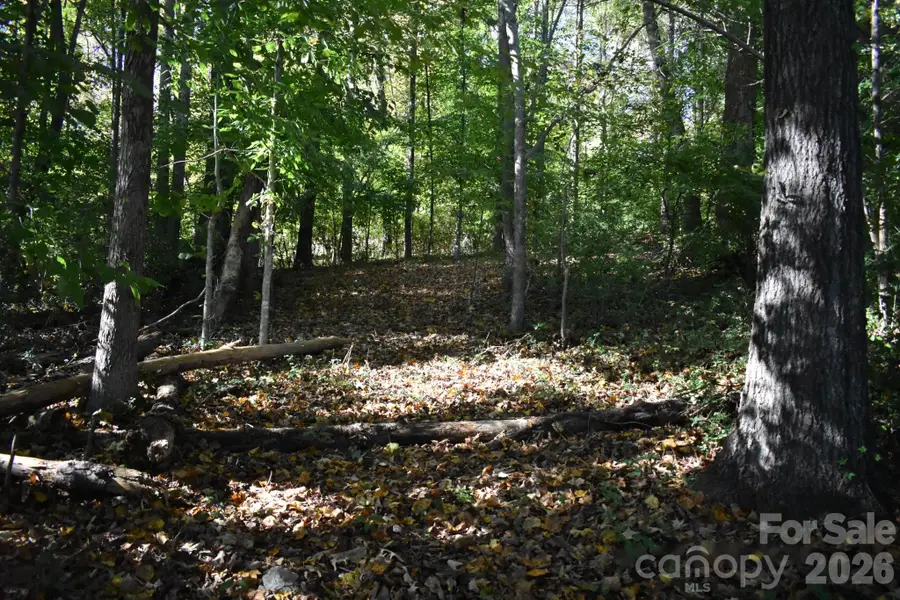 0 General Griffith Circle #29, Rutherfordton, NC 28139 - #3