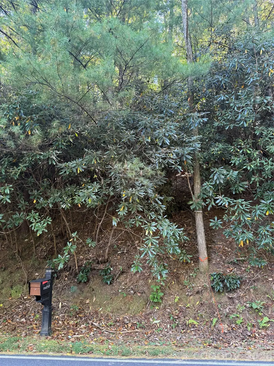 Lot 81 - R Kenmure Drive, Flat Rock, NC 28731 - #3