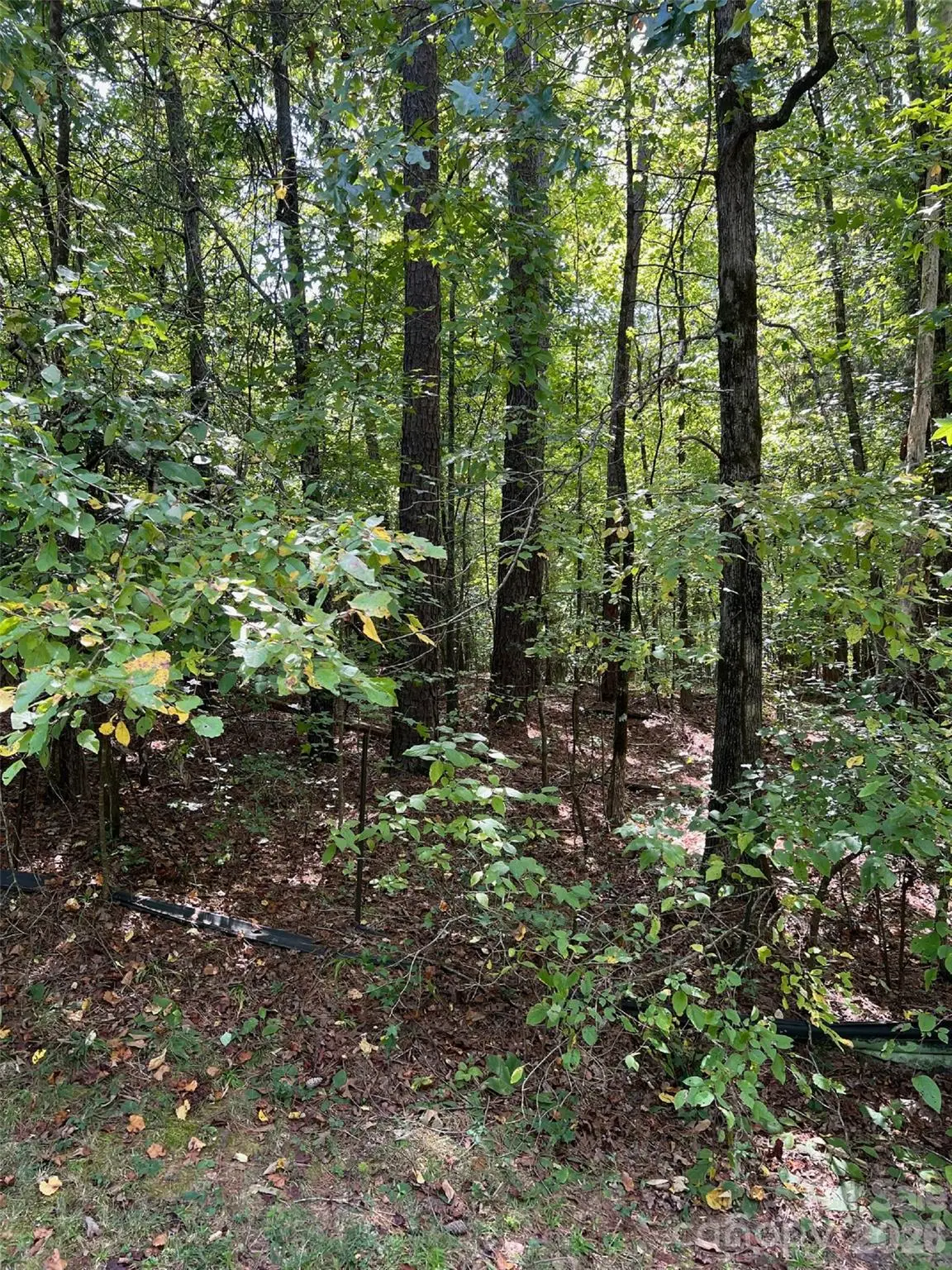 TBD Sanctuary Lane, Lilesville, NC 28091 - #1