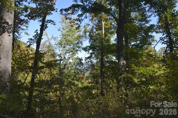 00 Bedford Road, Barnardsville, NC 28709