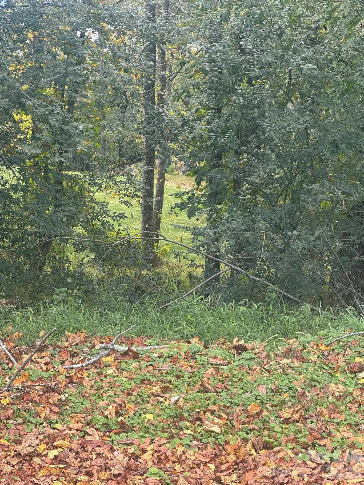 Lot 122 Friar Court #122, North Wilkesboro, NC 28659 - #1