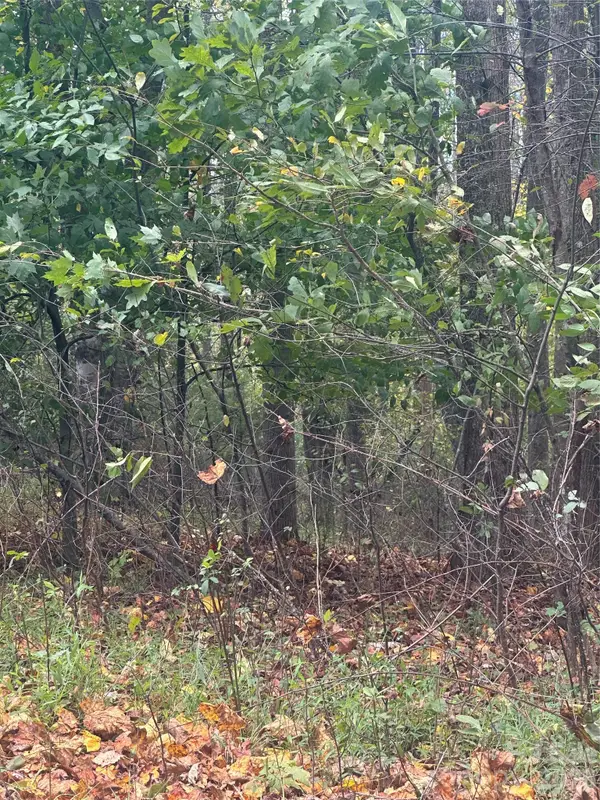 Lot 120 Friar Court #120, North Wilkesboro, NC 28659
