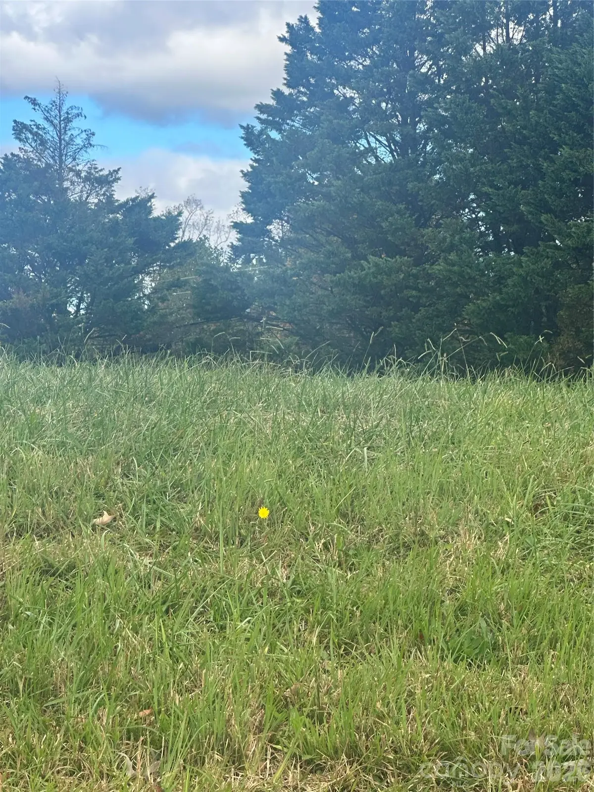 Lot 107 Parson Lane #107, North Wilkesboro, NC 28659 - #1