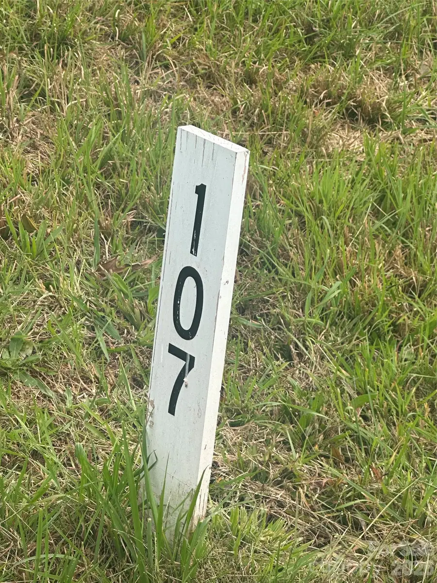 Lot 107 Parson Lane #107, North Wilkesboro, NC 28659 - #2