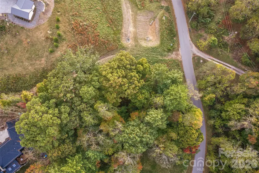 17 French Broad River Way #98, Asheville, NC 28804 - #3